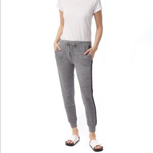 ALTERNATIVE APPAREL Eco jersey pants Jogger NWT SM